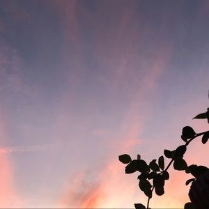 Meet your Posher, Elisa